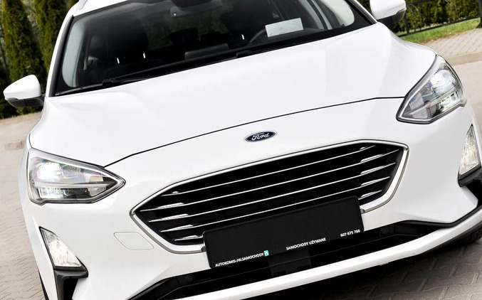 Ford Focus cena 63900 przebieg: 169000, rok produkcji 2019 z Płock małe 781